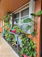 featured image of 4920 Southwest 28th Terrace #1-2