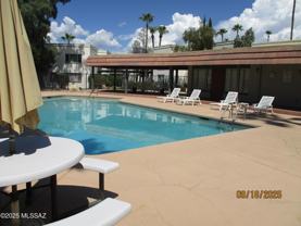 8450 E Old Spanish Trl #242 - Photo 1 of 1