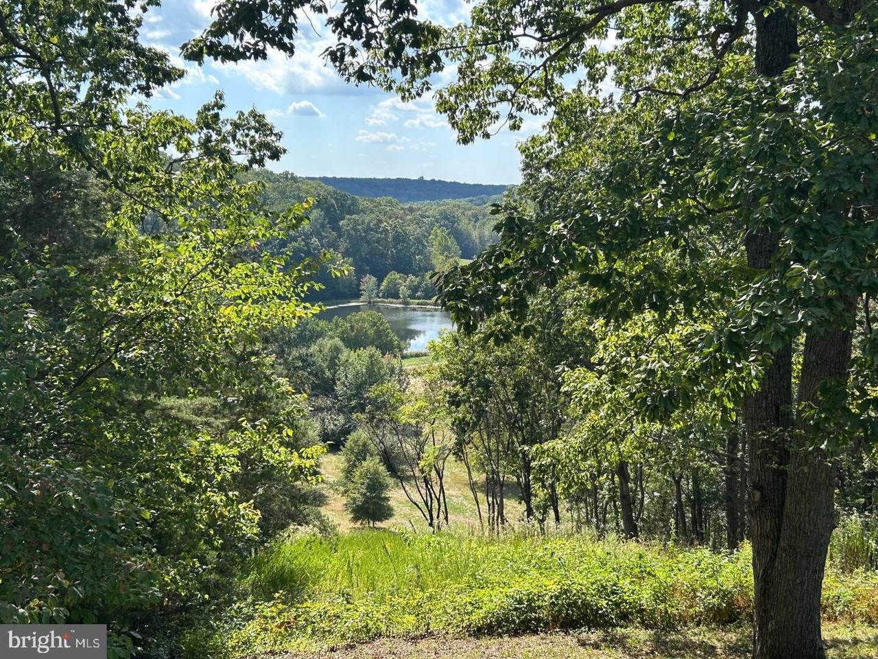 25490 Kipps Lane - Photo 3 of 50