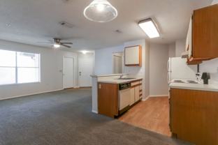 625 Dory Ln #303 - Photo 1 of 1