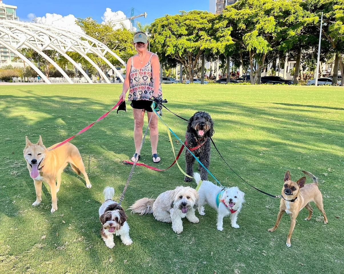 CitySide - Photo 4 of 50