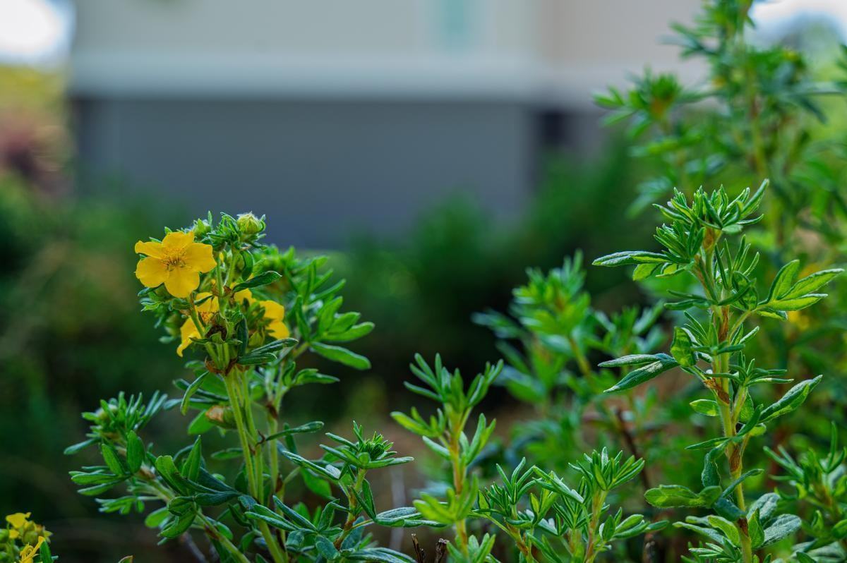 3128 S Mount Vernon St