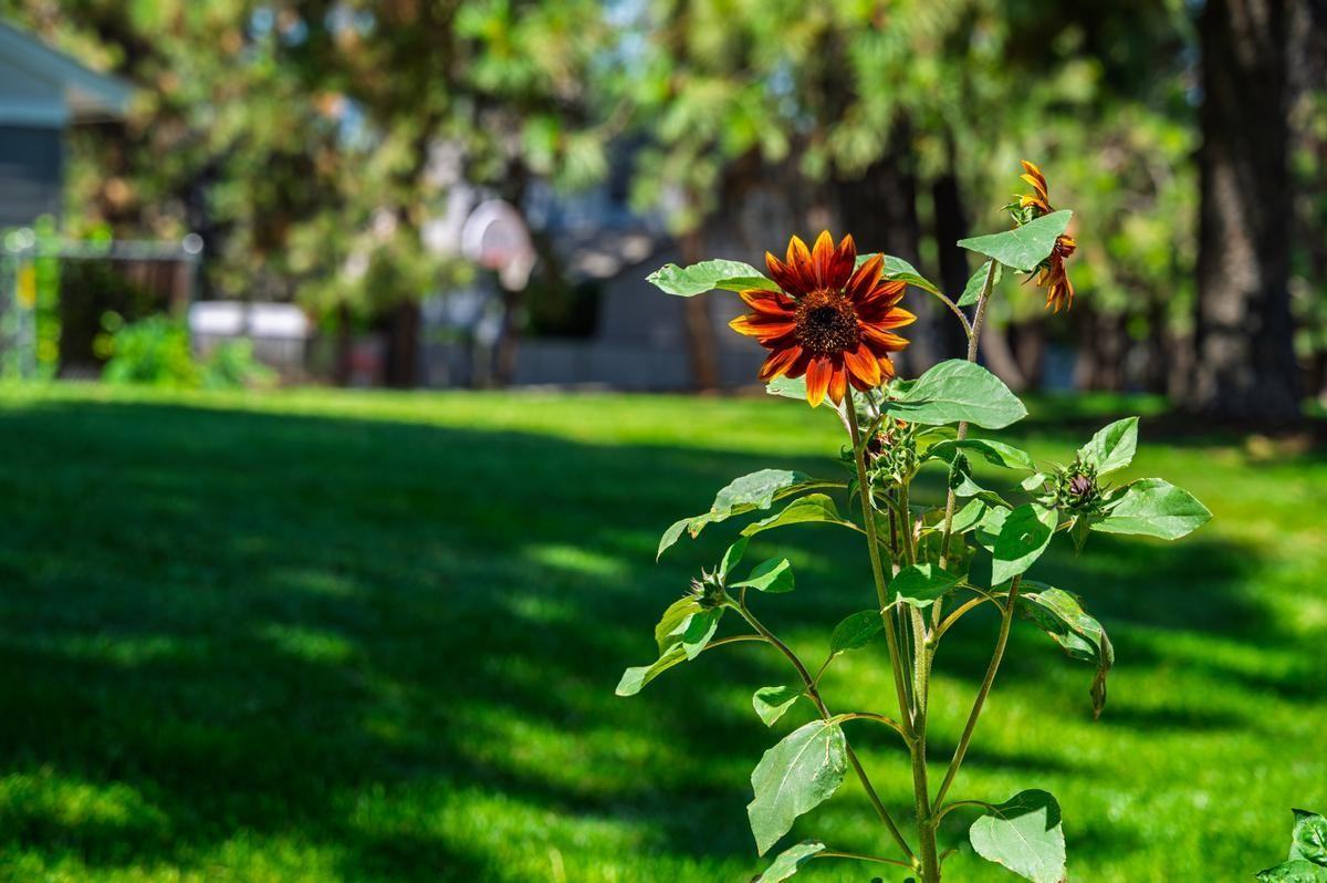 3128 South Mount Vernon Street