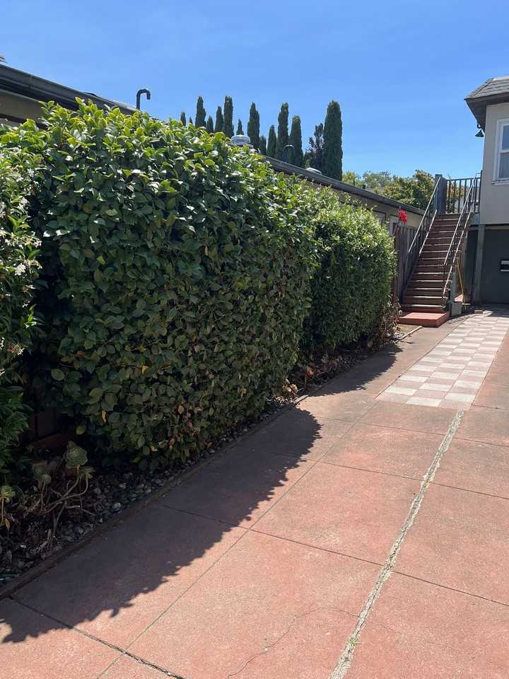 1279 California Drive #NA - Photo 5 of 23