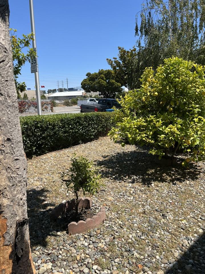 1279 California Drive #NA - Photo 6 of 23