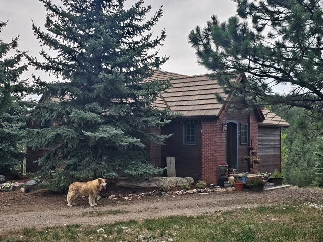 319 Mountain Climb Rd - Photo 5 of 9