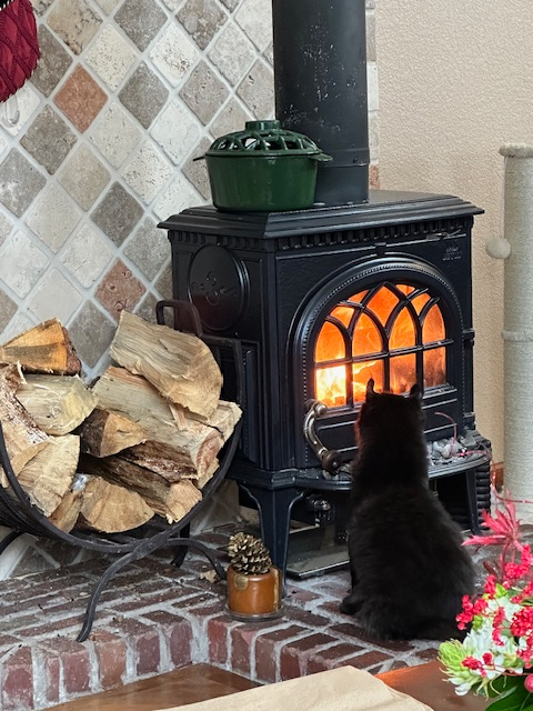 319 Mountain Climb Rd - Photo 7 of 9