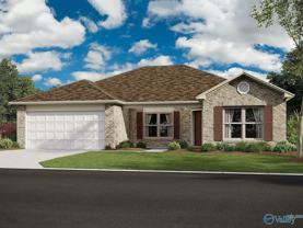 237 Faded Rose Ln - Photo 1 of 1