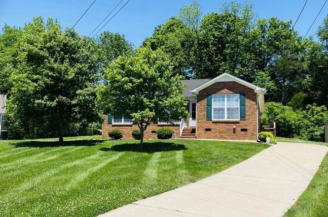 828 Mulberry Dr - Photo 3 of 50