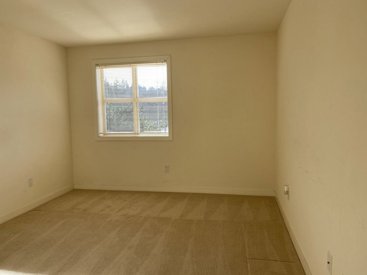 Mercer Manor Apartments - Photo 7 of 15