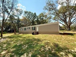 featured image of 124 County Road 3439