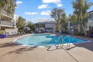 The Rexford - Photo 1 of 1