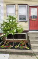 featured image of 423 Naomi St #NA