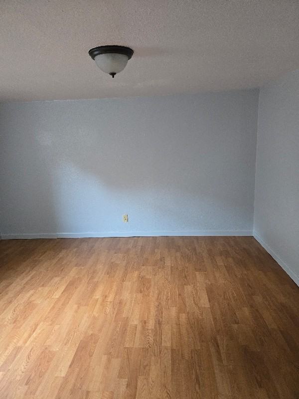 620 4th Ave Sw #3 - Photo 3 of 15