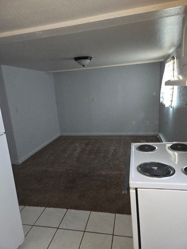 620 4th Ave Sw #3 - Photo 7 of 15