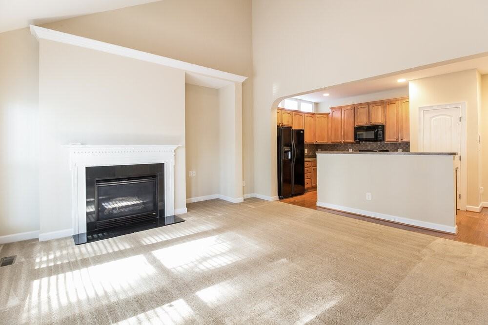 205 Plott Hound Ln - Photo 2 of 15