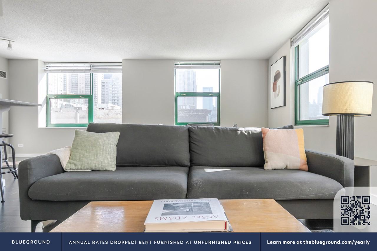 77 West Huron Street - Photo 4 of 49