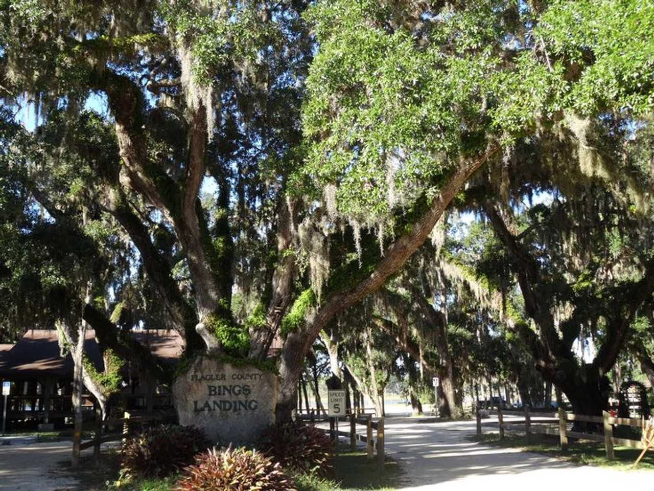 62 Ocean St #1261617P - Photo 3 of 50