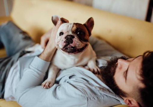 COAST Real Estates Services 2 of 4