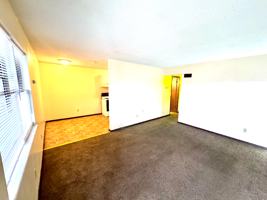 featured image of 913 Joliet Drive #4