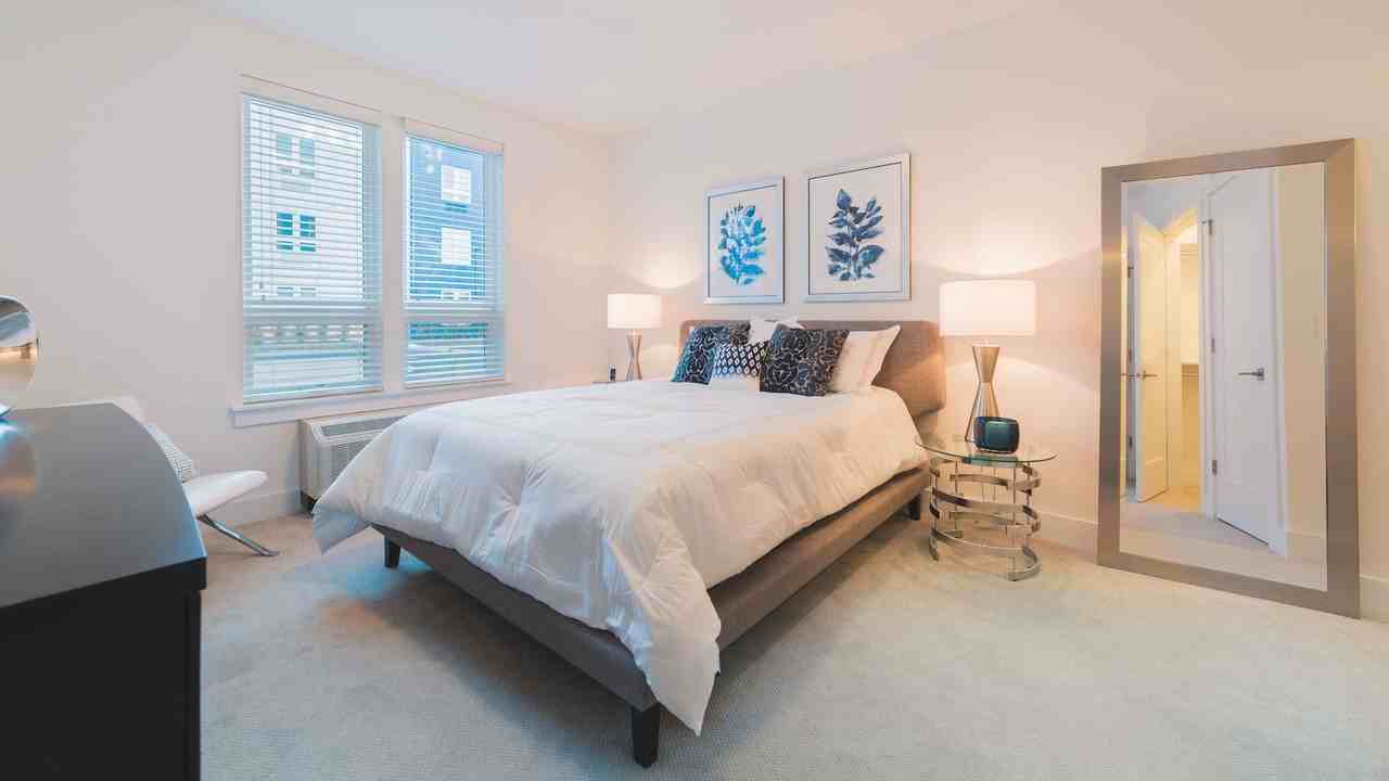 The Cobalt Apartments - Photo 2 of 19