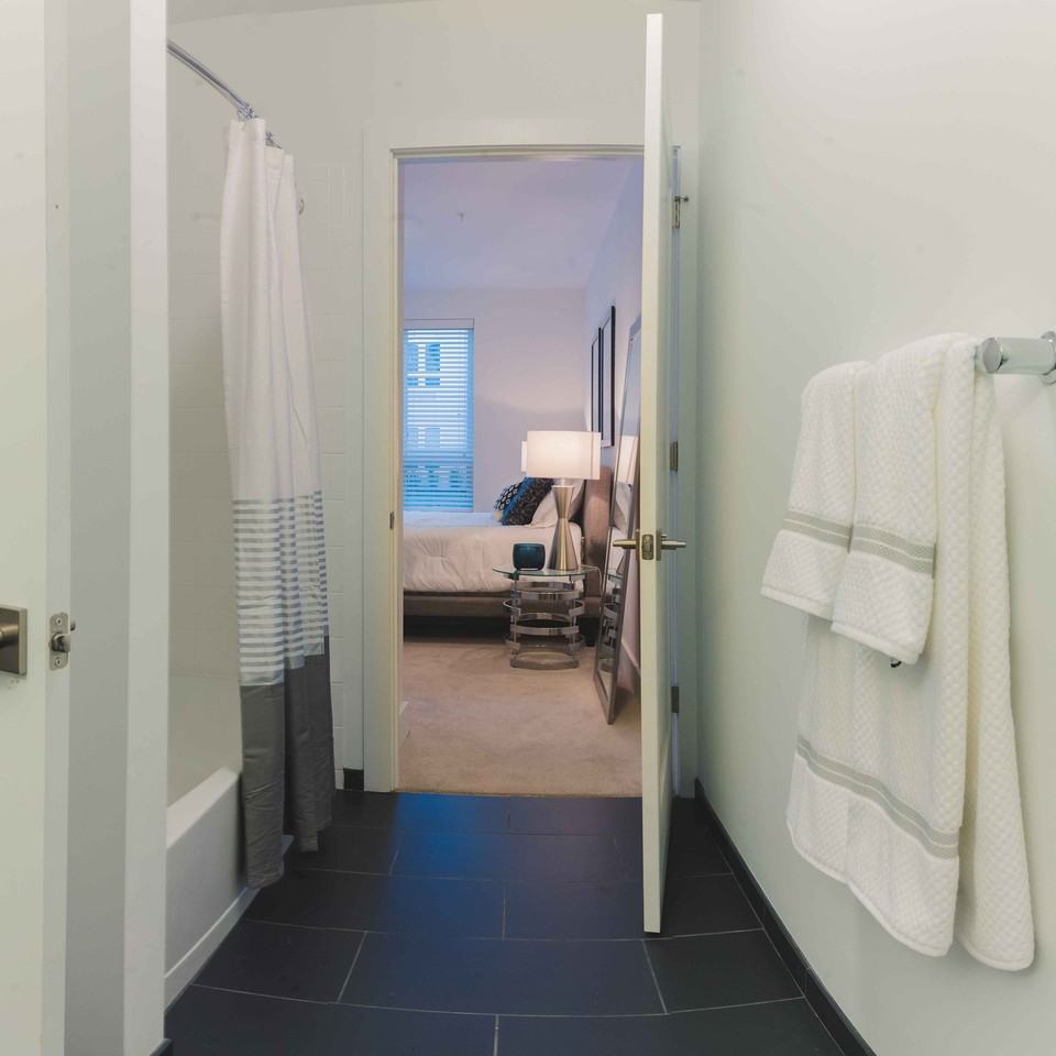 The Cobalt Apartments - Photo 6 of 19