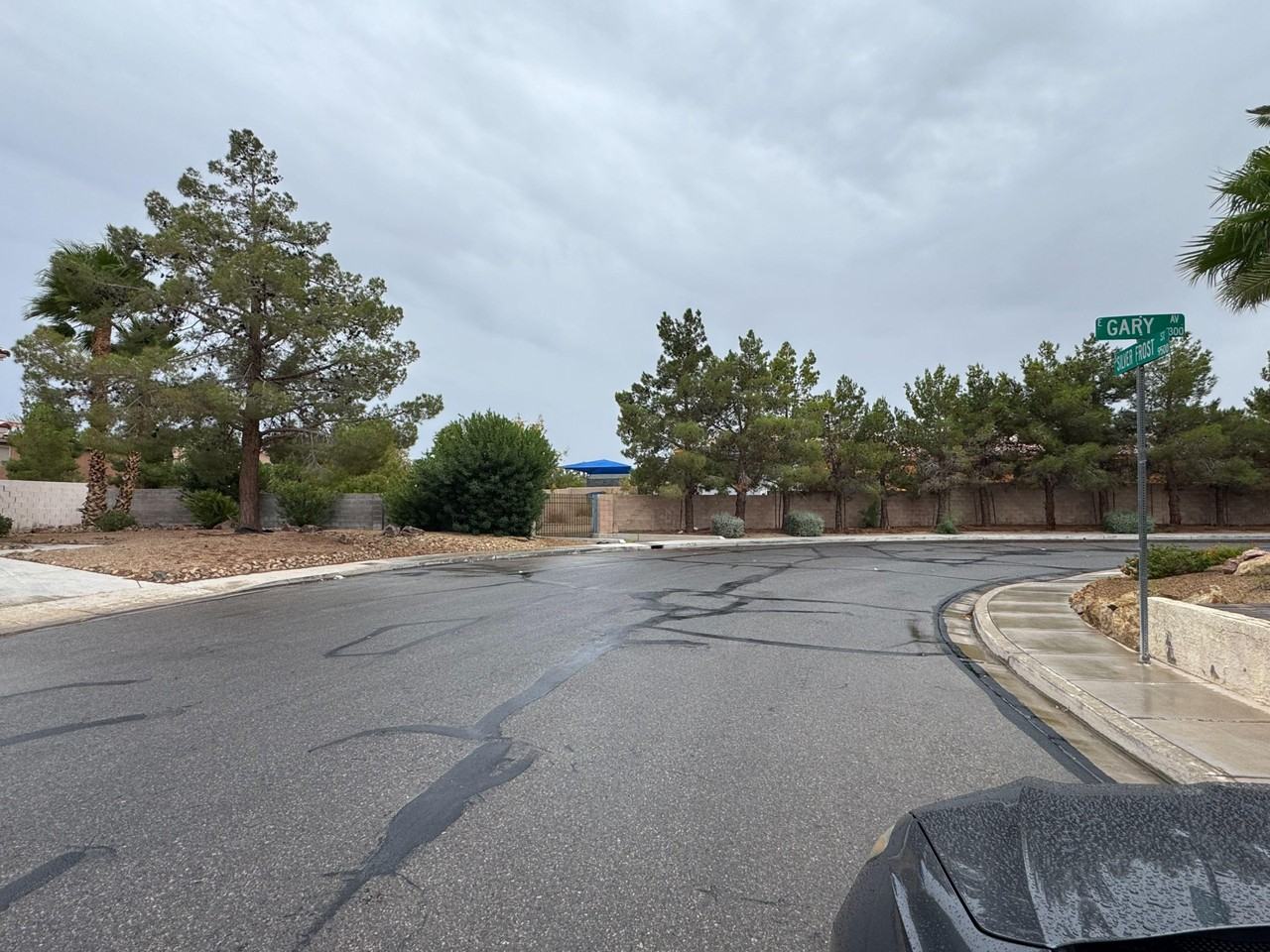 Silver Frost St - Photo 7 of 15