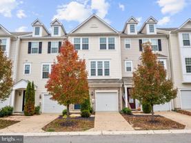 43824 Royal Fern Ln - Photo 1 of 1
