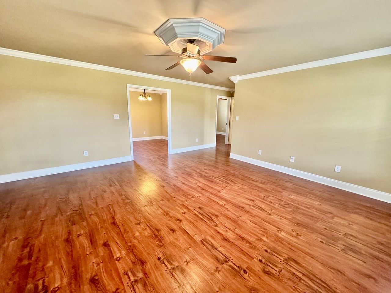 29428 Maddox St - Photo 3 of 14