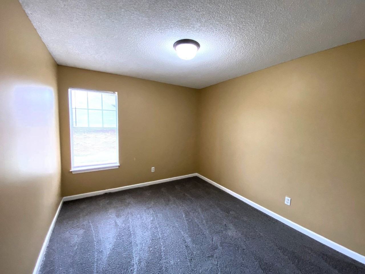 4215 Elysian Dr - Photo 5 of 15