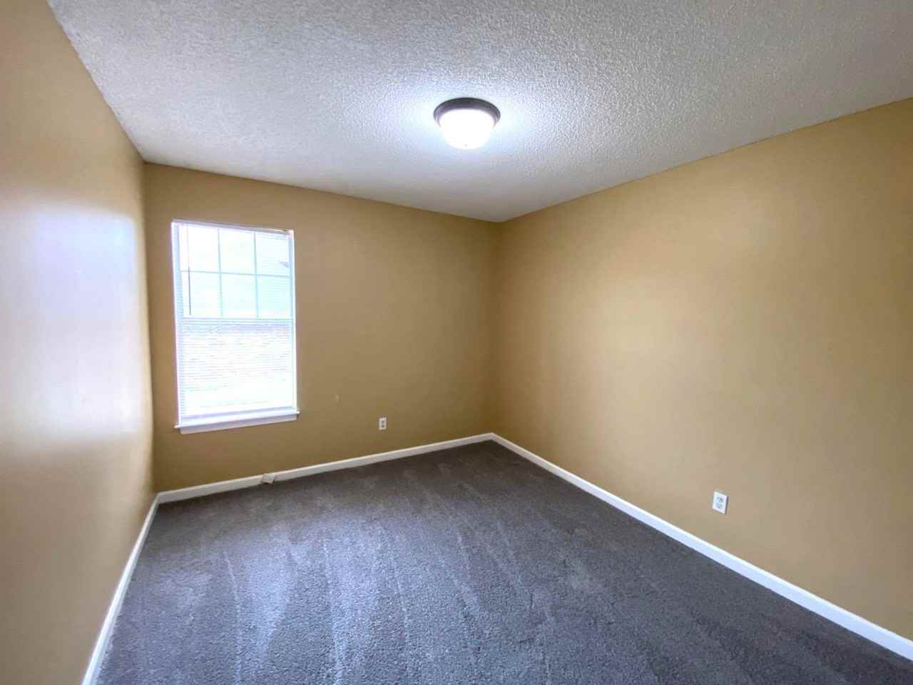 4215 Elysian Dr - Photo 7 of 15