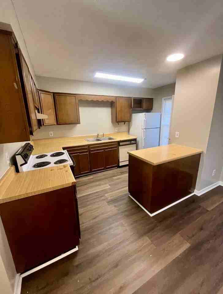 407 Lugenia Dr - Photo 3 of 11