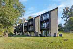 featured image of 103 Painters Xing