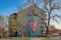 Black Swan - Photo 1 of 1