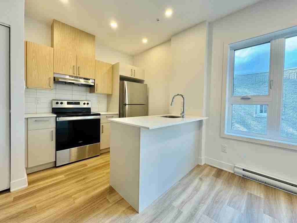 2693 Boul Pie-Ix #305 - Photo 3 of 10