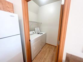 The Lusitano - Photo 1 of 1