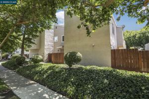 featured image of 3712 Willow Pass Rd #32