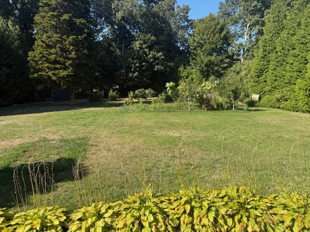 3335 Washington Ave - Photo 5 of 7