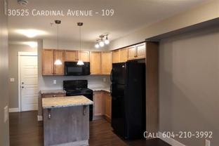 30525 Cardinal Ave #109 - Photo 1 of 1