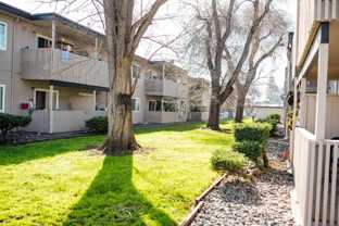 25341 Cypress Royale Apartments - Photo 1 of 1