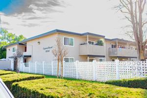 featured image of CYPRESS ROYALE