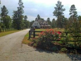 928 Shell Bluff Dr - Photo 1 of 1