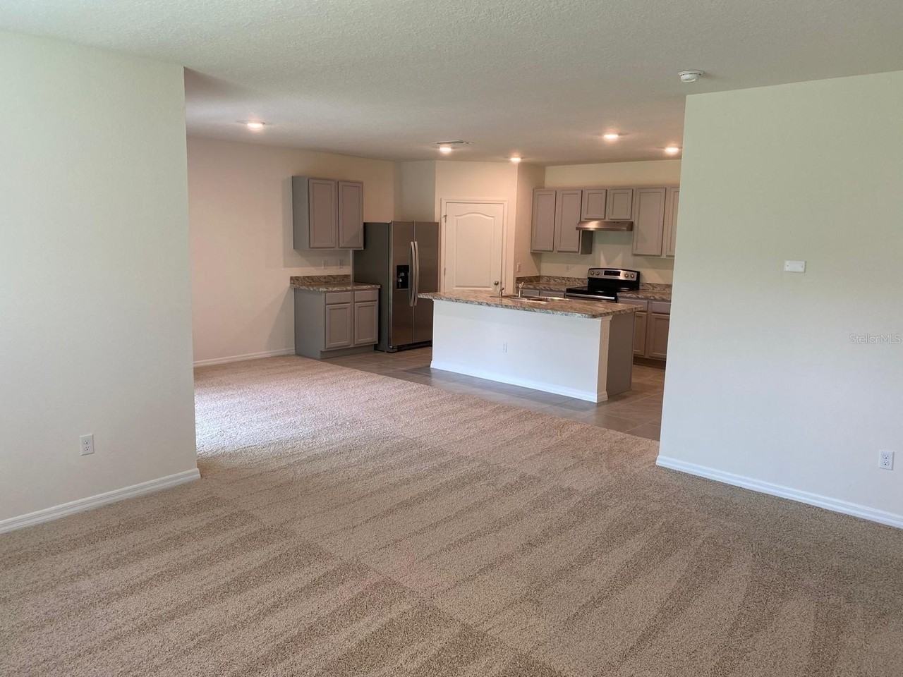 1235 Iguana Loop - Photo 5 of 15