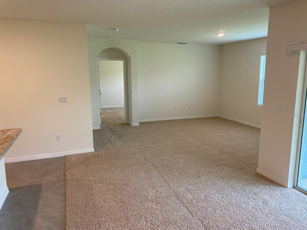 1235 Iguana Loop - Photo 6 of 15