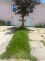 featured image of 241 Helen St #D