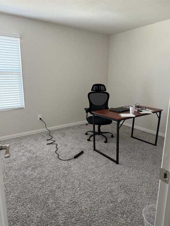 4803 Hunter Hurst Dr - Photo 5 of 11