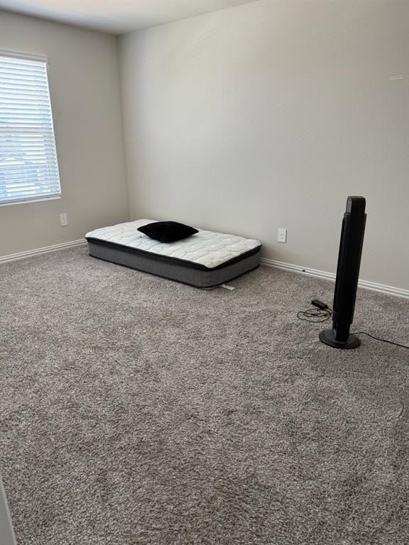 4803 Hunter Hurst Dr - Photo 6 of 11