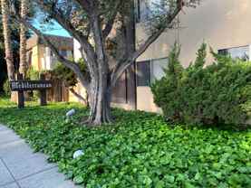 Mediterranean Apartments - Photo 1 of 1