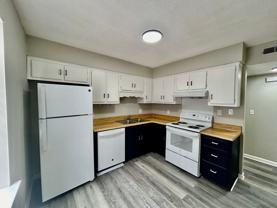 2 Bed/1.5 Bath Apartment - Photo 1 of 1