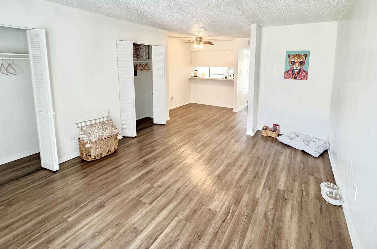 Turtle Dove 1 - Photo 7 of 50